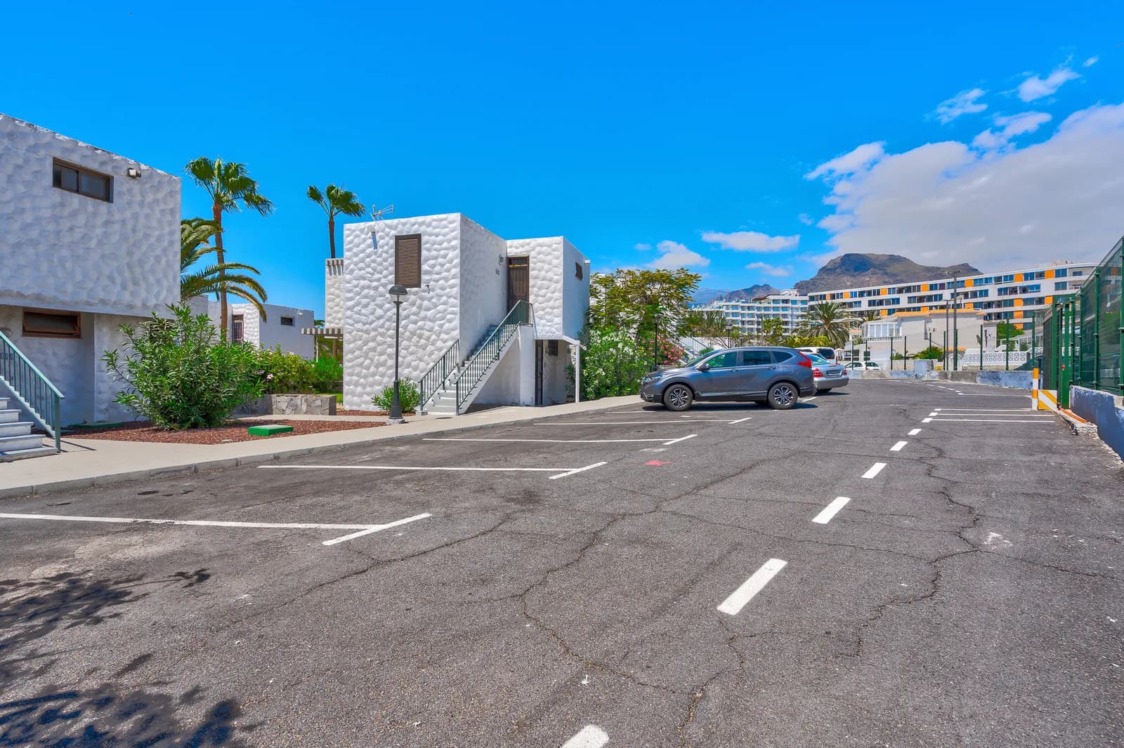 Cozy and bright 1-bdrm in Las Americas — 6