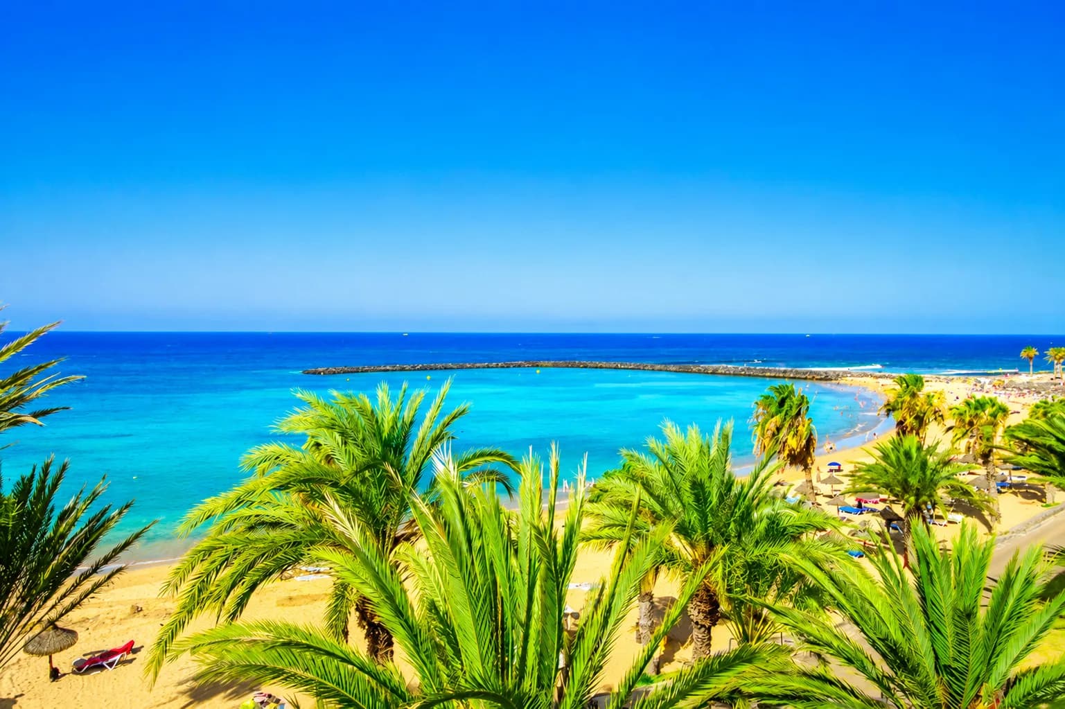 Panoramic ocean view 1-bdrm in Las Americas — 17